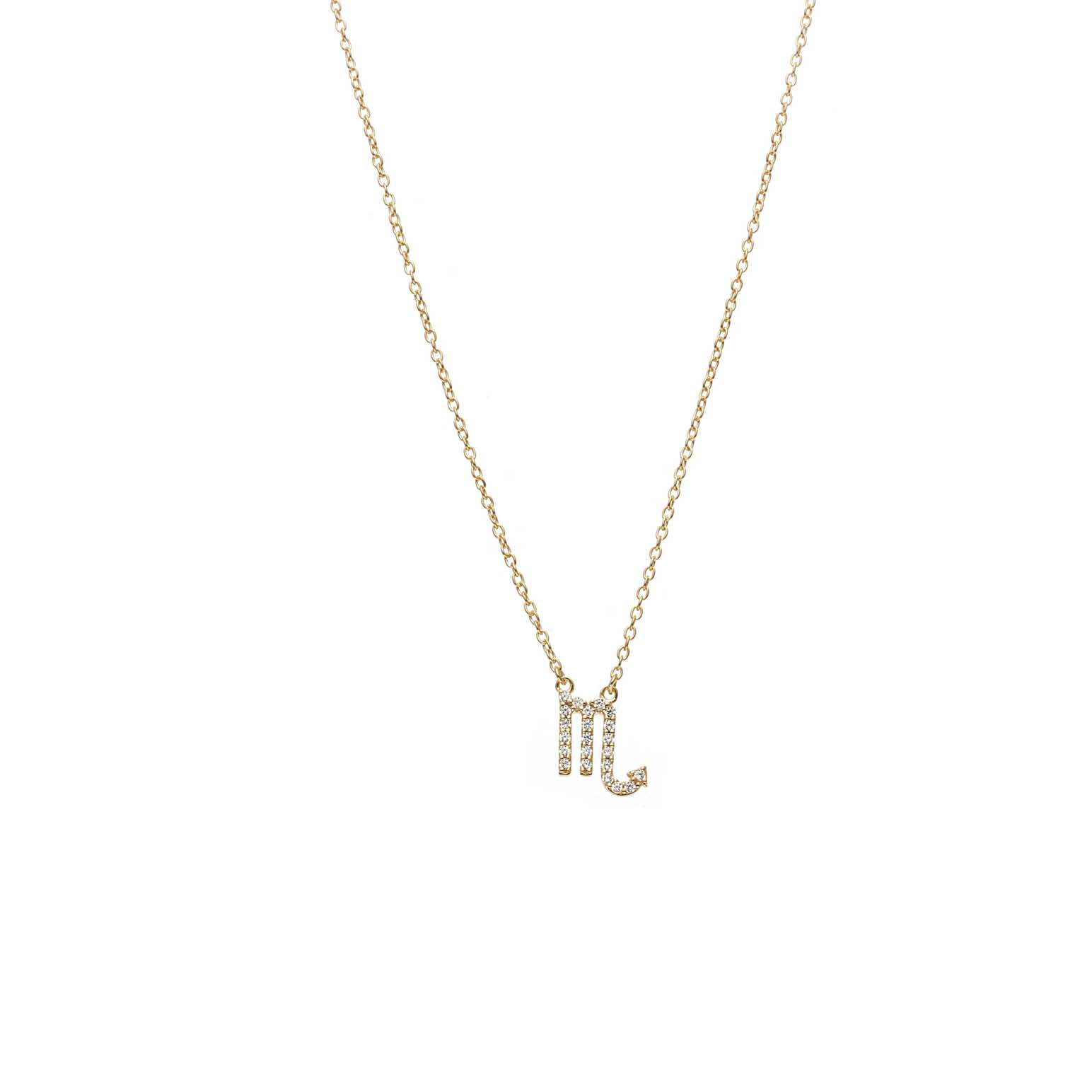 Silk & Steel Scorpio Necklace
